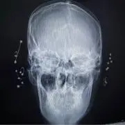 貴