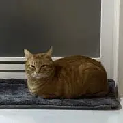 sumiの画像