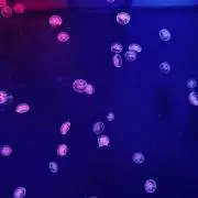 ㅌㅁㅁの画像