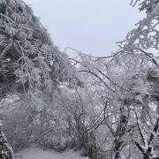 ヌンチャク