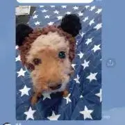 みかんの画像