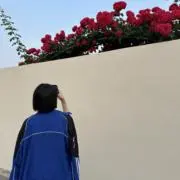 ナナの画像