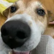 アイ
