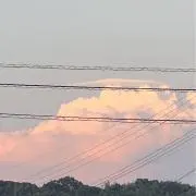 あいの画像