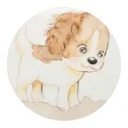 ダニエルの画像