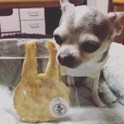 kikiの画像