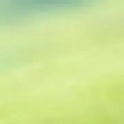 @の画像