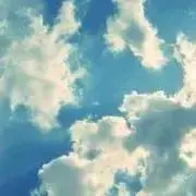 ぼすの画像
