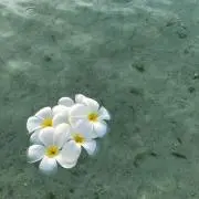 プロフ必読☆BELLE☆の画像