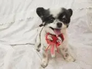 メリーちゃん♥️