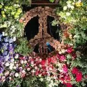 MIZの画像