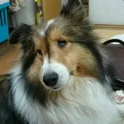 ままおの画像