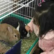 maimai