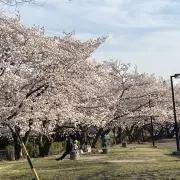 東陽の画像