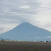れい　プロフ確認お願いしますの画像