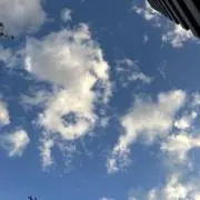 msysの画像