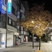 ベルの画像