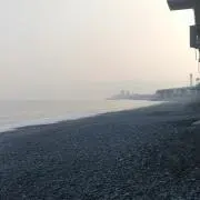 ★★★西湘爆笑族★★★の画像