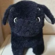 あちゅぐの画像