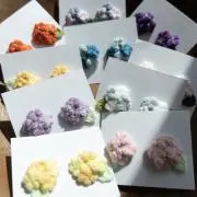 ひかりの画像