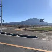 マスカット