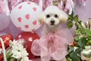 あこ♡（プロフご覧下さい☆）の画像