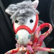 まめすけ