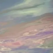 はちの画像