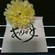 mieの画像