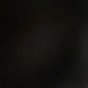 キャンリーの画像
