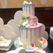 みんみんの画像