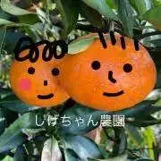 しげちゃん農園の画像
