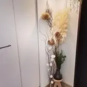 Murの画像
