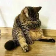 たくぼー
