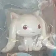 十兵衛（即購入OK）の画像