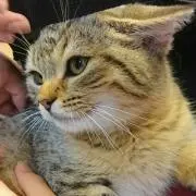 たっちゃん