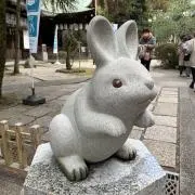 adgjm_ptwの画像