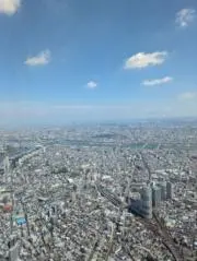 たいの画像