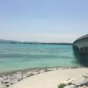 間も無く発送_φ(・_・