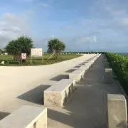 あさくんの画像