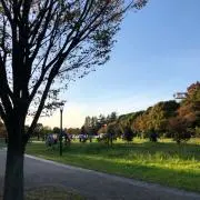 kotiの画像