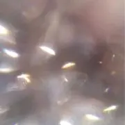 るの画像