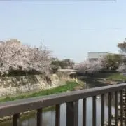 ちーの画像