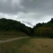 ＮＯＡＨ