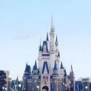 ココ