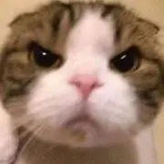 hideyoshiの画像