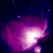 Y.T