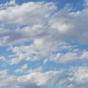 トモ