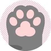 ははぱんだ
