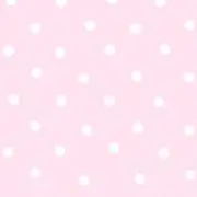 くろたぬきくんの画像